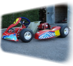 Kart Delfino