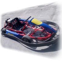 Kart Delfino