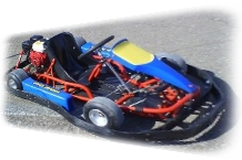 Kart Delfino