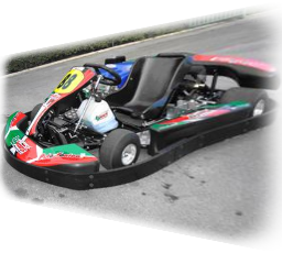 Kart Delfino