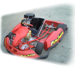 Kart Delfino
