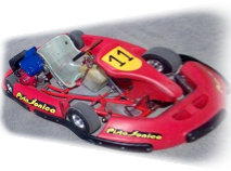 Kart Delfino